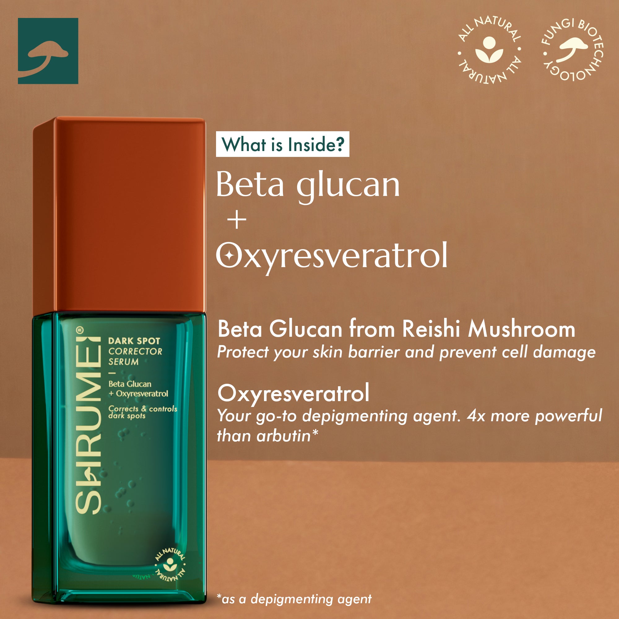 Dark Spot Corrector Serum (30 ml)