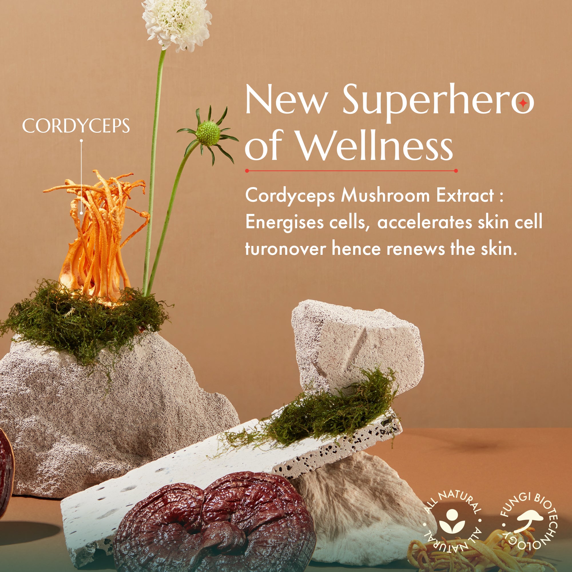 Skin Supercharger Renewal Serum
